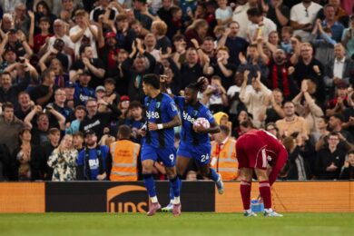 Kibic wywołał skandal podczas meczu Premier League. Został surowo ukarany!