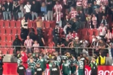 Gorąco po meczu Cracovii z Legią! Musiał interweniować prezes Pasów! [WIDEO]