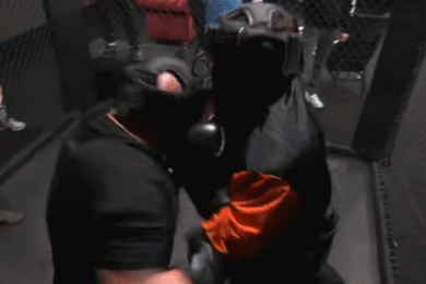 Sceny w programie FAME MMA. Najman pobił się z Boxdelem [WIDEO]