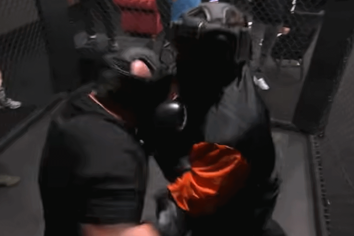 Sceny w programie FAME MMA. Najman pobił się z Boxdelem [WIDEO]