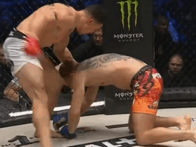 Błyskawiczna walka „AJ” – Lisek! Nokaut już w pierwszej rundzie [WIDEO]