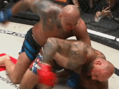 Szpilka nokautuje rywala! Ależ ciosy, lała się krew [WIDEO]